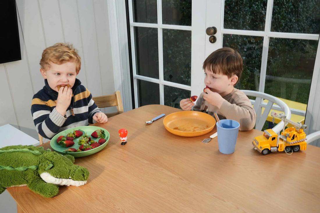 What is the Best Non-Toxic Kids Dinnerware?