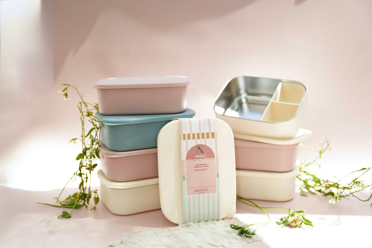 Collection of silicone stainless steel lunch boxes for kids and adults